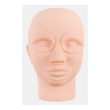 Eyebrow 3D Mannequine Head